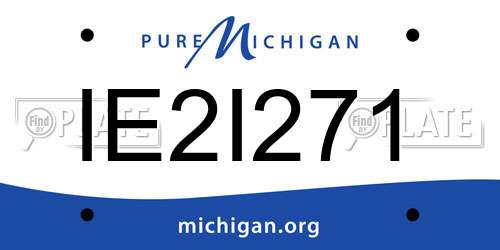 IE2I271 Michigan License Plate