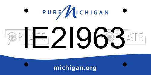 IE2I963 Michigan License Plate
