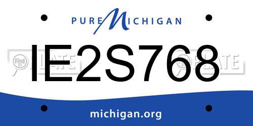 IE2S768 Michigan License Plate