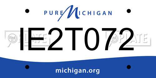 IE2T072 Michigan License Plate