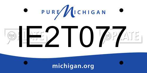 IE2T077 Michigan License Plate