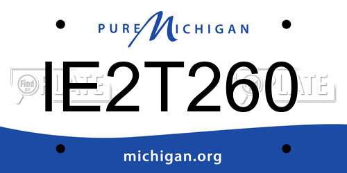 IE2T260 Michigan License Plate