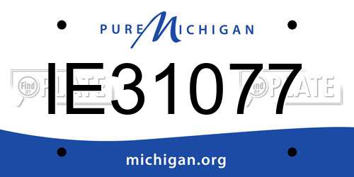 IE31077 Michigan License Plate