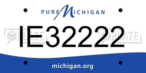 IE32222 Michigan License Plate