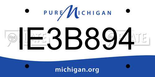 IE3B894 Michigan License Plate