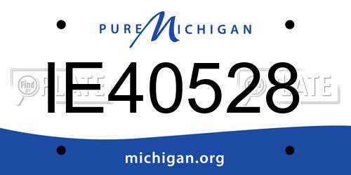 IE40528 Michigan License Plate