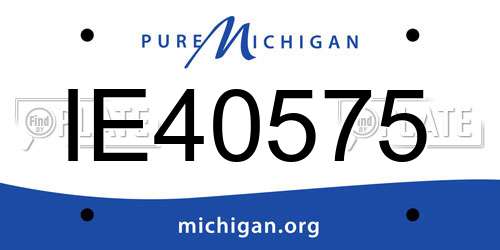 IE40575 Michigan License Plate