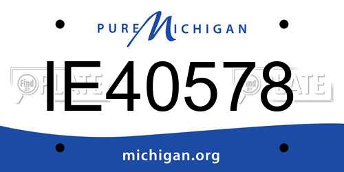IE40578 Michigan License Plate