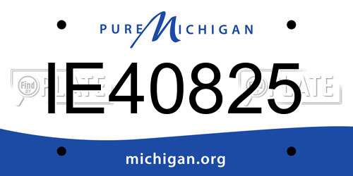 IE40825 Michigan License Plate