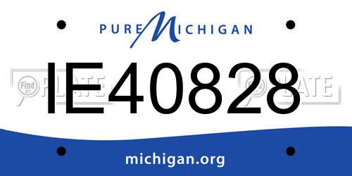 IE40828 Michigan License Plate