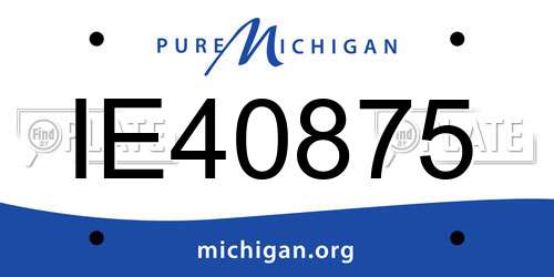 IE40875 Michigan License Plate