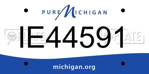 IE44591 Michigan License Plate