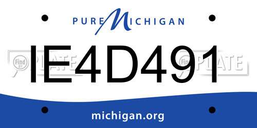 IE4D491 Michigan License Plate