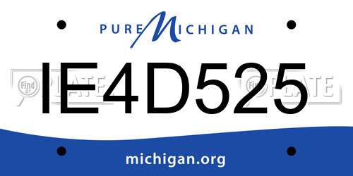 IE4D525 Michigan License Plate
