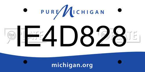 IE4D828 Michigan License Plate