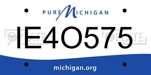 IE4O575 Michigan License Plate