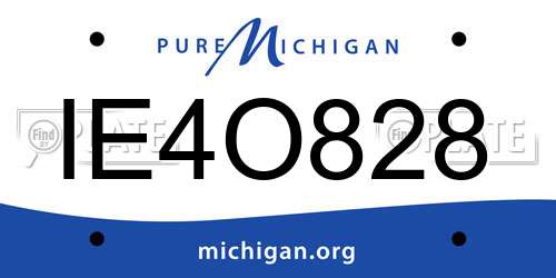 IE4O828 Michigan License Plate