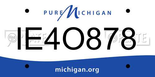 IE4O878 Michigan License Plate