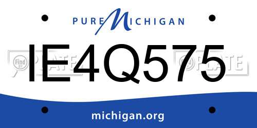 IE4Q575 Michigan License Plate