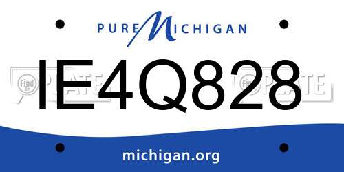 IE4Q828 Michigan License Plate