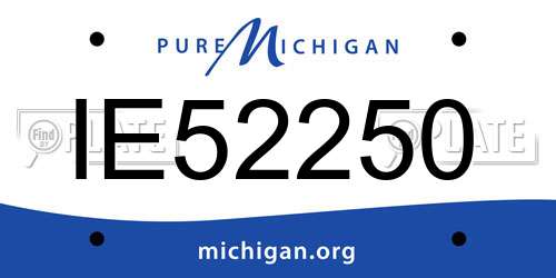 IE52250 Michigan License Plate