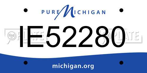 IE52280 Michigan License Plate