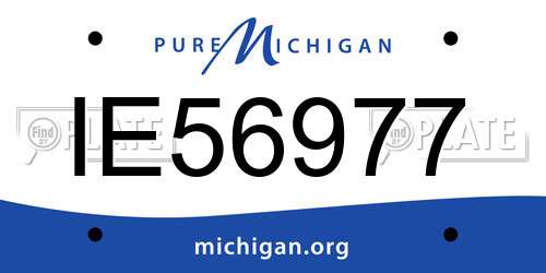 IE56977 Michigan License Plate