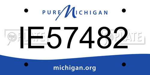 IE57482 Michigan License Plate