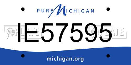 IE57595 Michigan License Plate