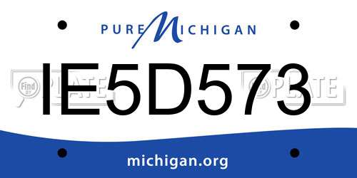 IE5D573 Michigan License Plate