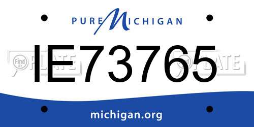 IE73765 Michigan License Plate