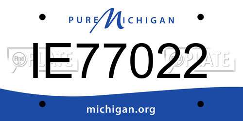 IE77022 Michigan License Plate
