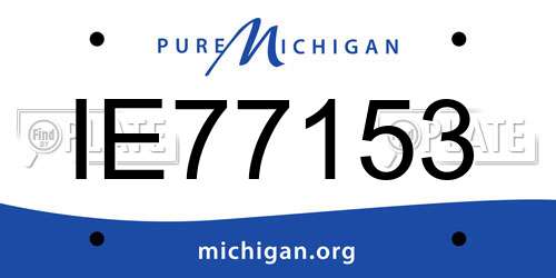 IE77153 Michigan License Plate