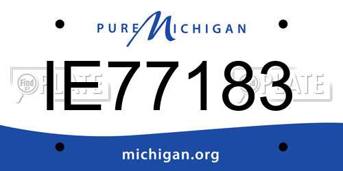 IE77183 Michigan License Plate