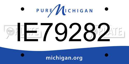 IE79282 Michigan License Plate