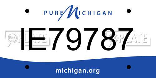 IE79787 Michigan License Plate
