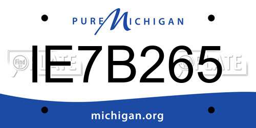 IE7B265 Michigan License Plate