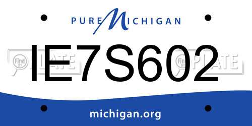 IE7S602 Michigan License Plate