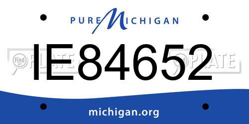 IE84652 Michigan License Plate