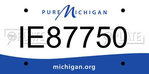 IE87750 Michigan License Plate
