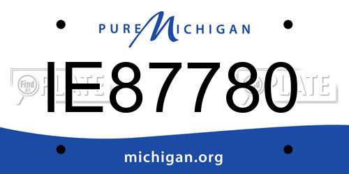 IE87780 Michigan License Plate