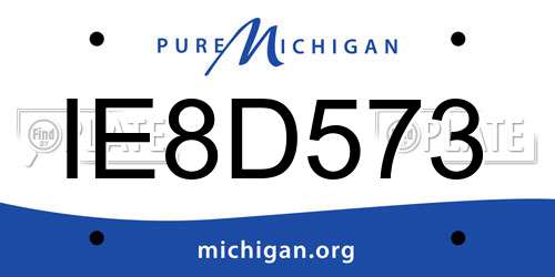 IE8D573 Michigan License Plate