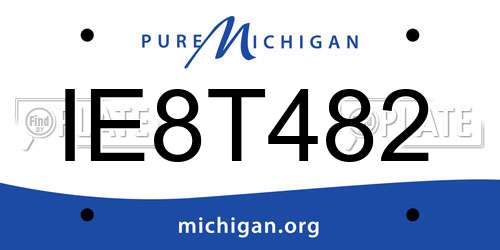 IE8T482 Michigan License Plate