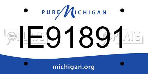 IE91891 Michigan License Plate