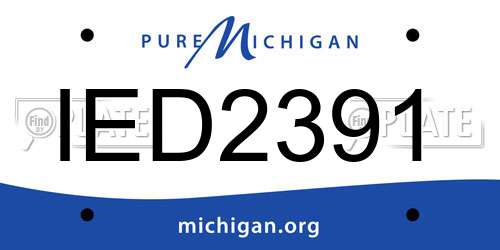 IED2391 Michigan License Plate