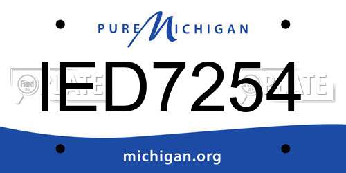 IED7254 Michigan License Plate