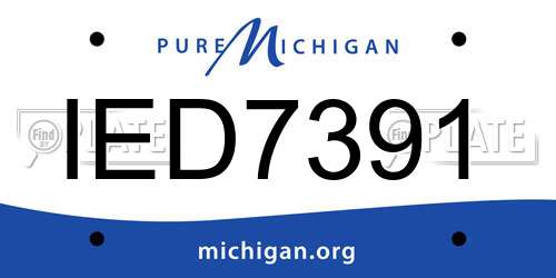 IED7391 Michigan License Plate