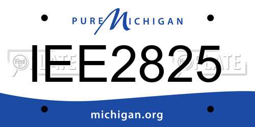 IEE2825 Michigan License Plate