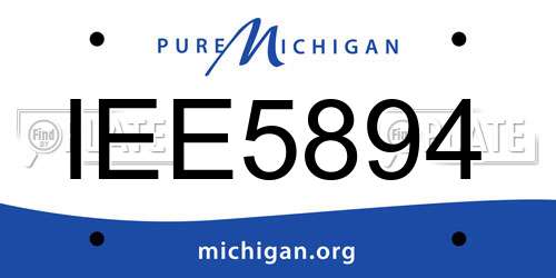 IEE5894 Michigan License Plate