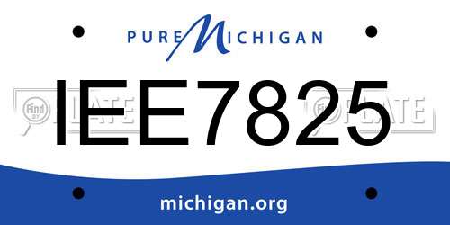 IEE7825 Michigan License Plate